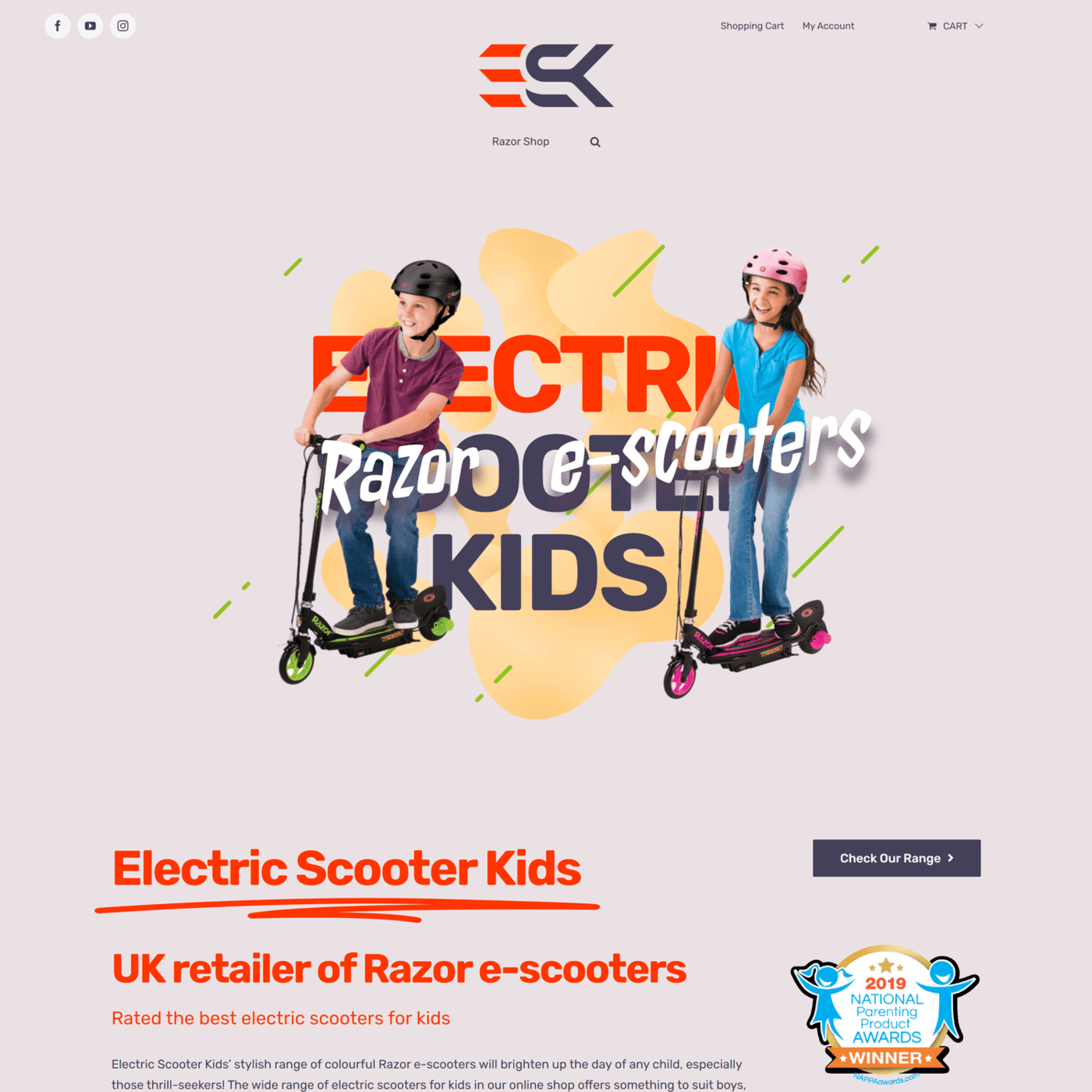 Electric Scooter Kids SEO Web Design